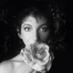 Kate Bush 鋼琴琴譜