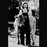 Norman Greenbaum 鋼琴琴譜