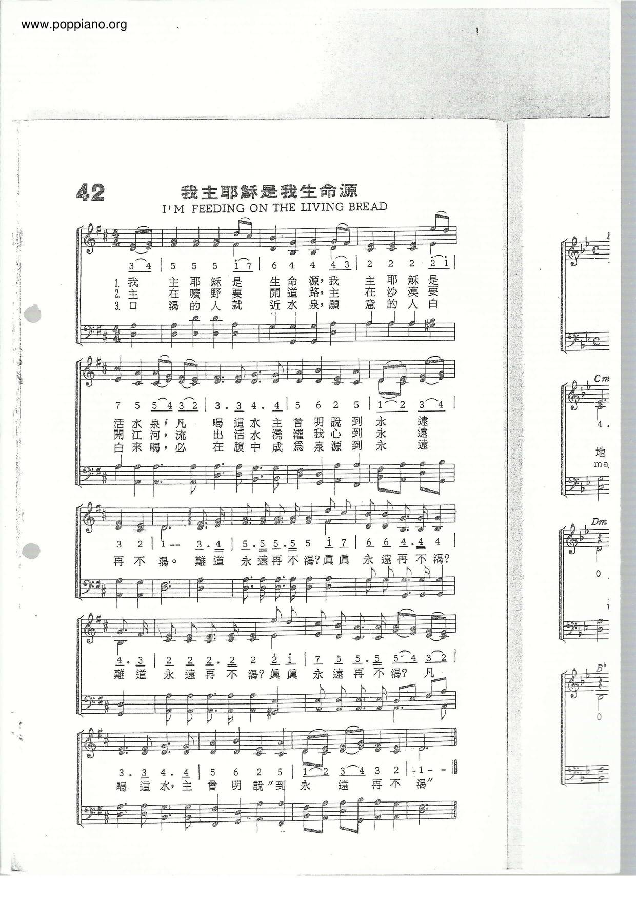 我主耶穌是我生命源琴譜